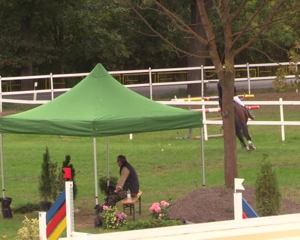 Reitturnier Müncheberg 2018