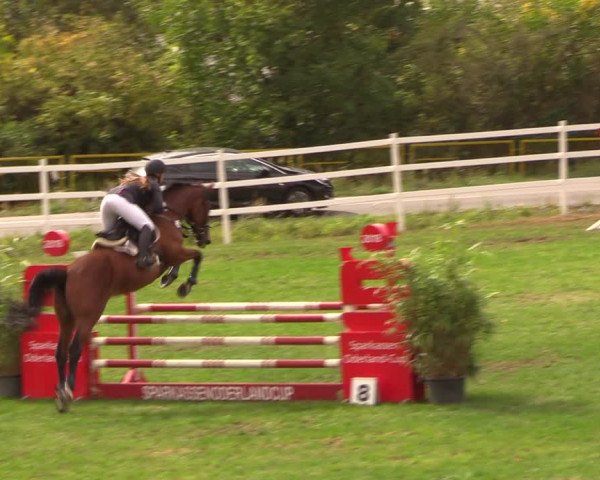 Reitturnier Müncheberg 2018