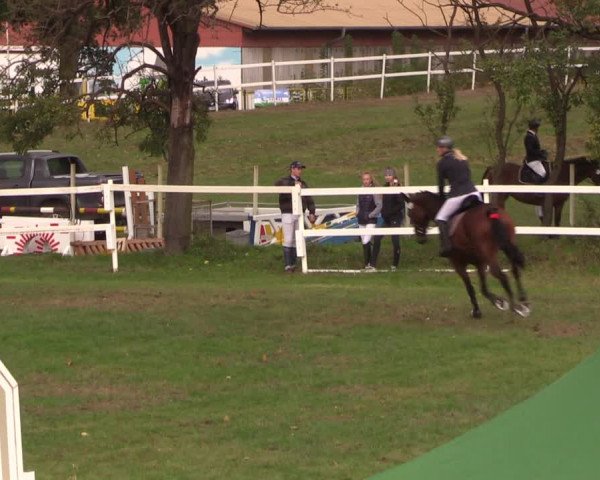 Reitturnier Müncheberg 2018