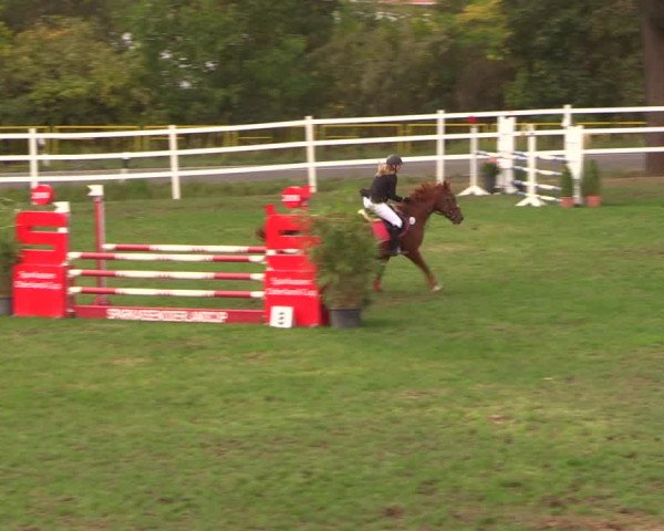 Reitturnier Müncheberg 2018