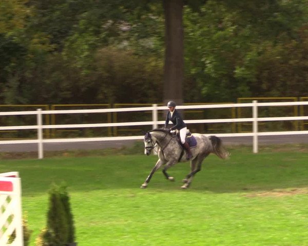 Reitturnier Müncheberg 2018