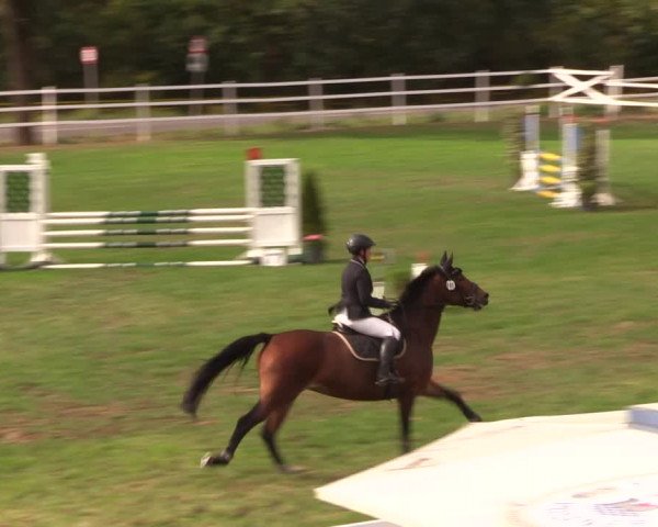 Reitturnier Müncheberg 2018