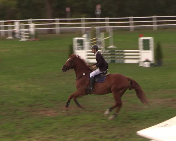 Reitturnier Müncheberg 2018