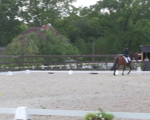 Reitturnier Müncheberg 2018