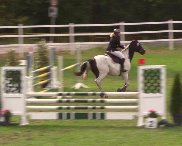 Reitturnier Müncheberg 2018