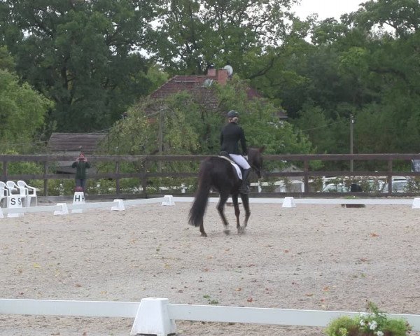 Reitturnier Müncheberg 2018