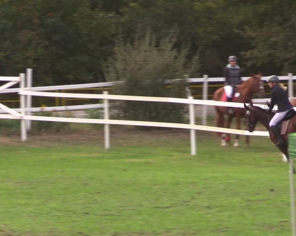 Reitturnier Müncheberg 2018