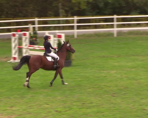 Reitturnier Müncheberg 2018