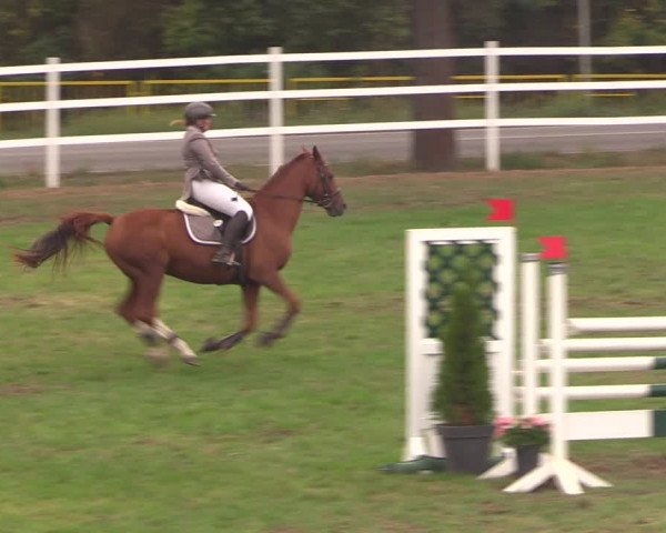 Reitturnier Müncheberg 2018