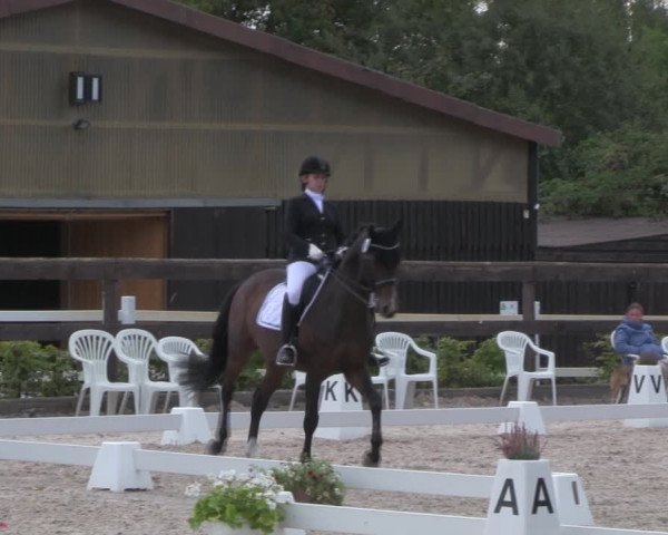 Reitturnier Müncheberg 2018