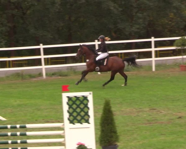 Reitturnier Müncheberg 2018