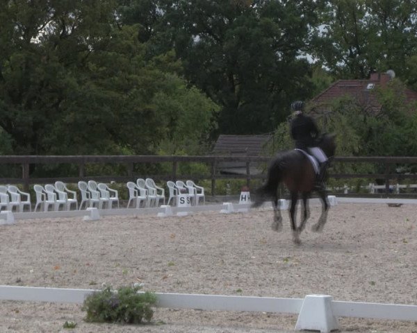 Reitturnier Müncheberg 2018