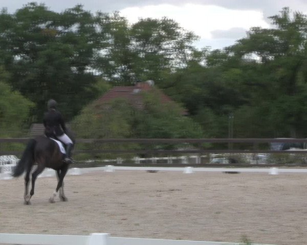 Reitturnier Müncheberg 2018