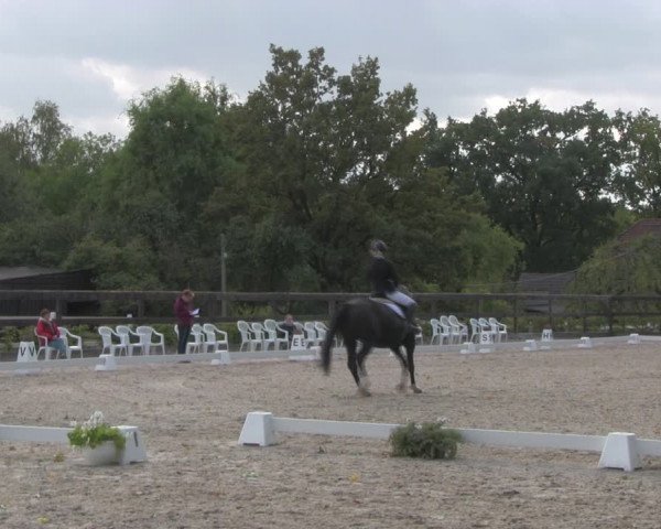 Reitturnier Müncheberg 2018