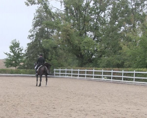 Reitturnier Müncheberg 2018