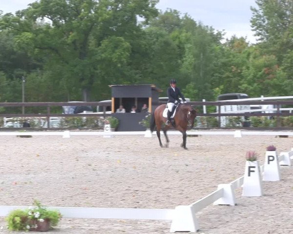 Reitturnier Müncheberg 2018