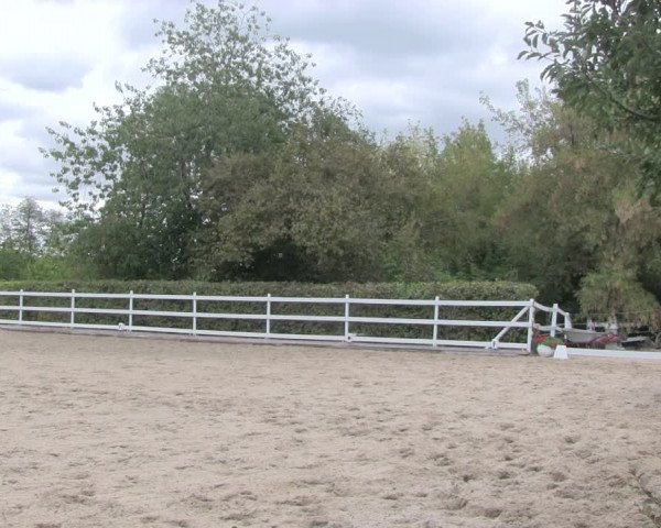 Reitturnier Müncheberg 2018
