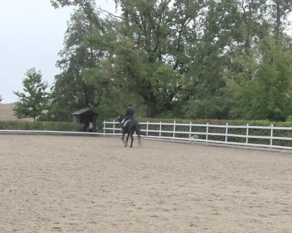 Reitturnier Müncheberg 2018