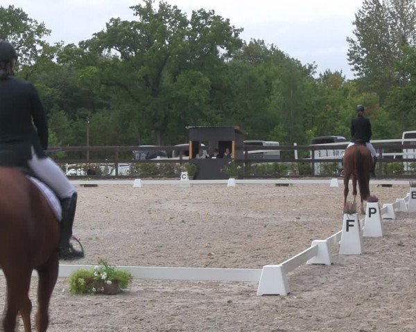 Reitturnier Müncheberg 2018
