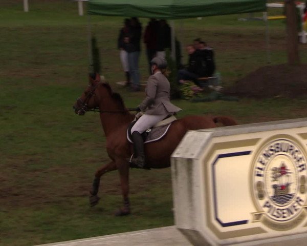 Reitturnier Müncheberg 2018