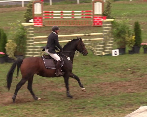 Reitturnier Müncheberg 2018