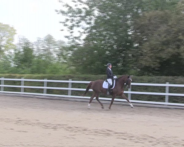 Reitturnier Müncheberg 2018