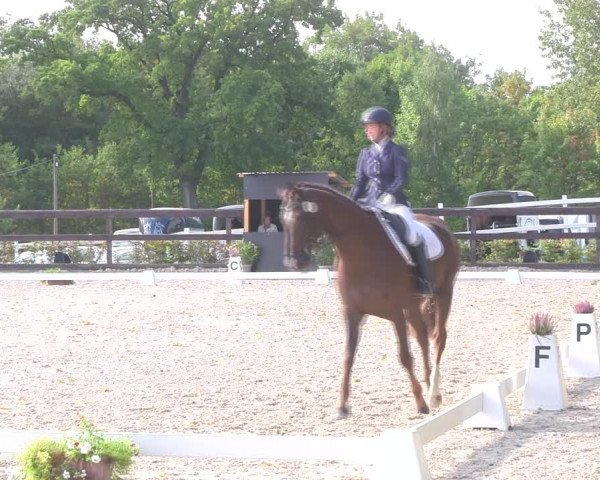 Reitturnier Müncheberg 2018