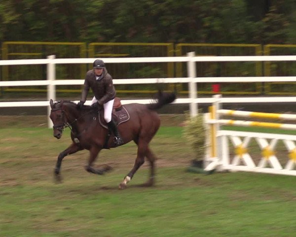 Reitturnier Müncheberg 2018