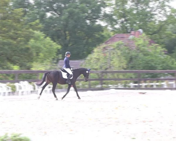 Reitturnier Müncheberg 2018