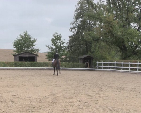 Reitturnier Müncheberg 2018