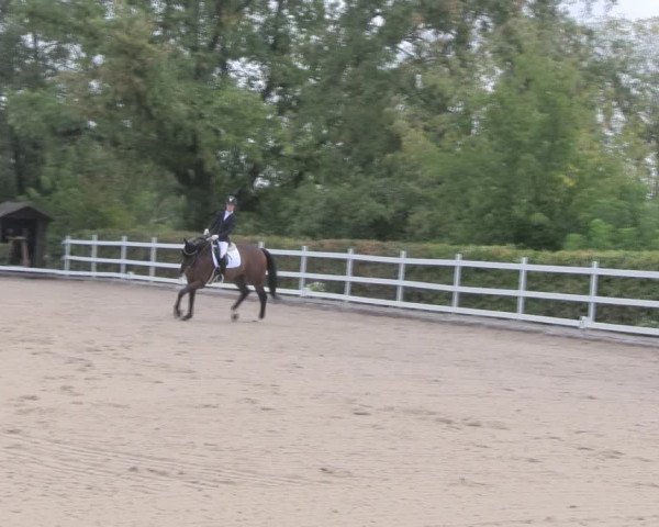 Reitturnier Müncheberg 2018
