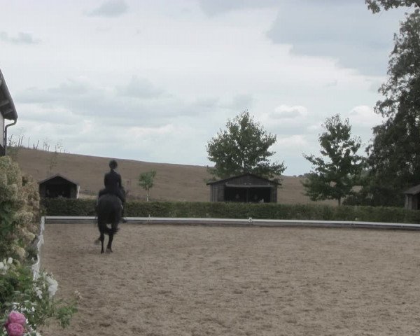 Reitturnier Müncheberg 2018