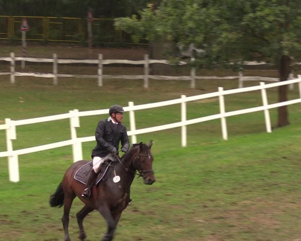 Reitturnier Müncheberg 2018