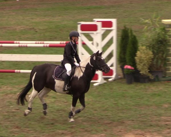 Reitturnier Müncheberg 2018
