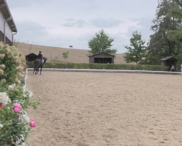 Reitturnier Müncheberg 2018