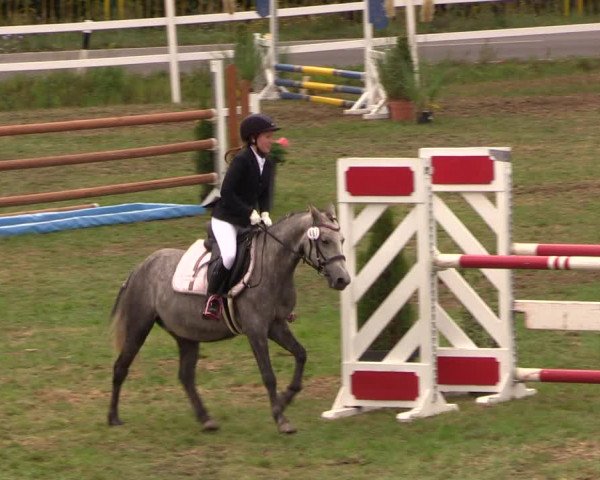 Reitturnier Müncheberg 2018
