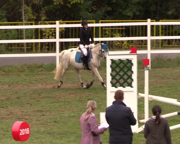 Reitturnier Müncheberg 2018