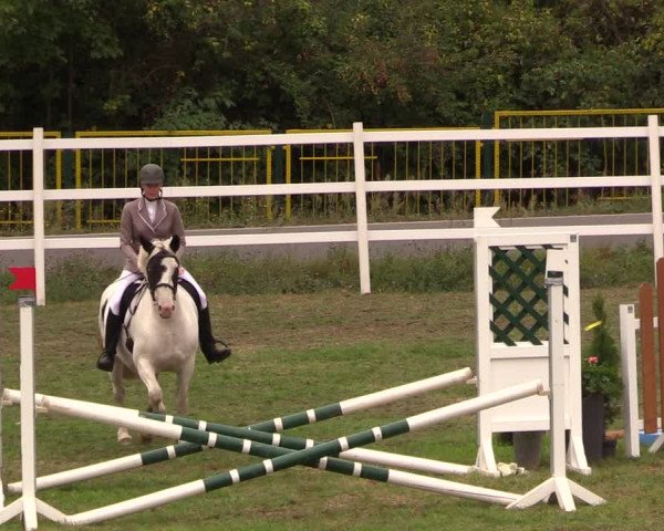 Reitturnier Müncheberg 2018