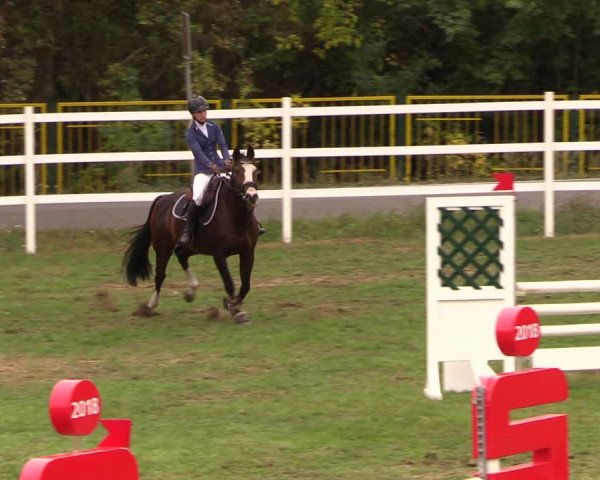Reitturnier Müncheberg 2018