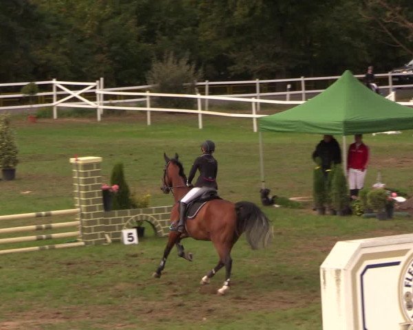 Reitturnier Müncheberg 2018