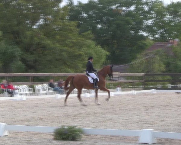 Reitturnier Müncheberg 2018