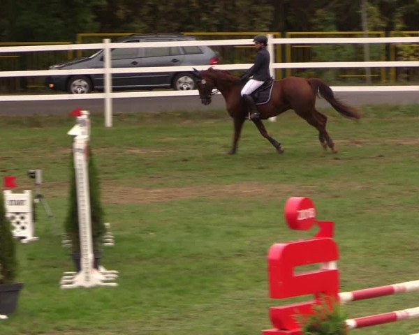 Reitturnier Müncheberg 2018