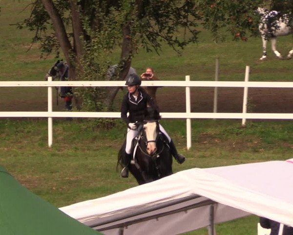 Reitturnier Müncheberg 2018