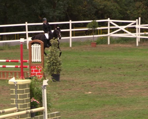 Reitturnier Müncheberg 2018