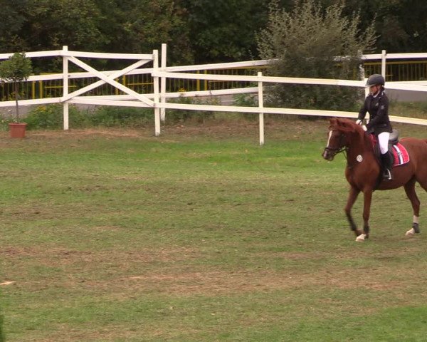 Reitturnier Müncheberg 2018