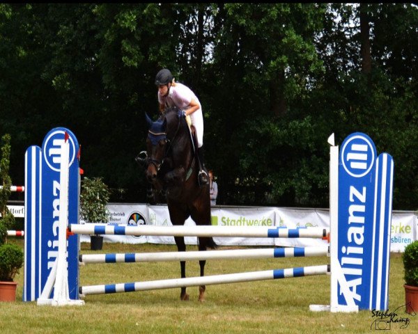 jumper Riverdale (Westphalian, 2011, from Ravallo 115 FIN)