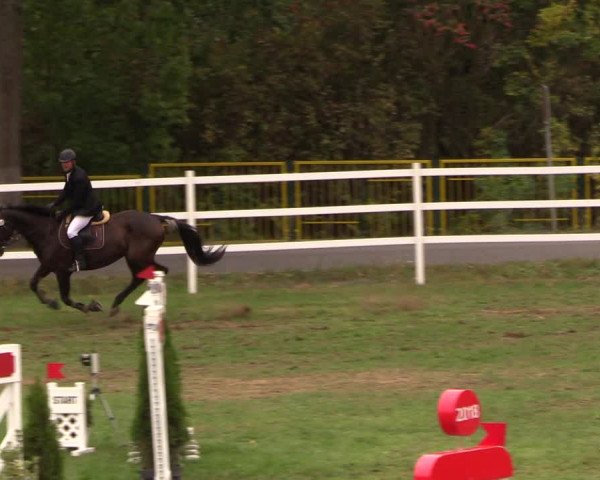 Reitturnier Müncheberg 2018
