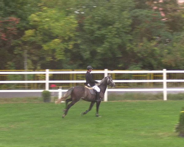 Reitturnier Müncheberg 2018