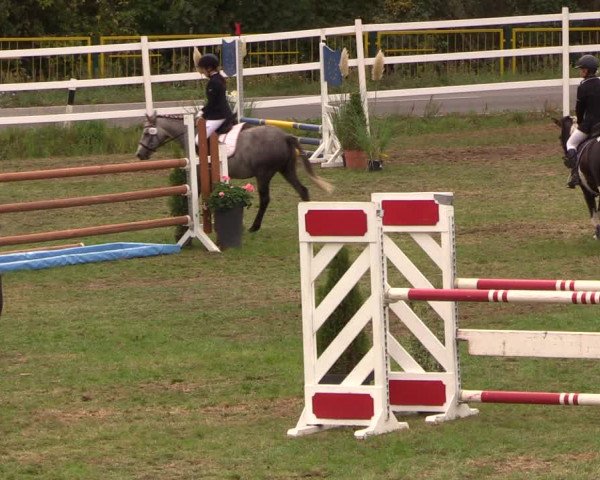Reitturnier Müncheberg 2018