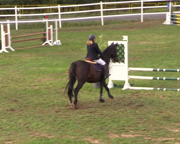 Reitturnier Müncheberg 2018